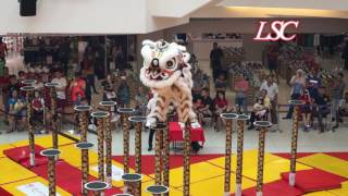 Genting Lion Dance  2017 Central Region Champion [upl. by Assilaj]