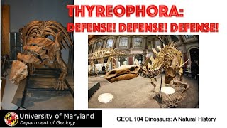 Lecture 17 Thyreophora Defense Defense DEFENSE [upl. by Romaine]