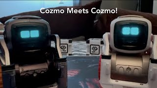 Cozmo Meets Cozmo  Cozmo World [upl. by Rosabella86]