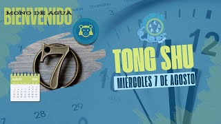 Consejos del Tong Shu 7 de agosto  Conejo de Agua Yin [upl. by Correna364]