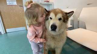 Its A Sad Day Baby Girl Convinces Best Friend Its Ok At Vets [upl. by Daile387]