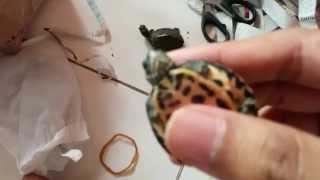 Unboxing 2 Pangshura Tecta Turtle [upl. by Ahtibbat]