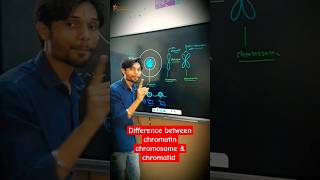 What is the difference between chromatin chromosome amp chromatid 🔥😎 biology cbse k2institute [upl. by Aicatsue692]