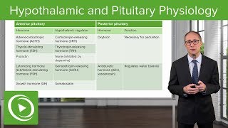 Review of Hypothalamic and Pituitary Physiology – Endocrinology  Lecturio [upl. by Blatt]