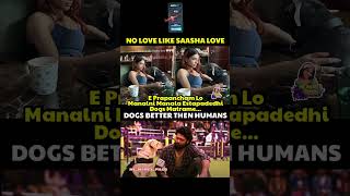 samantha dog shorts charlie777 sad emotional celebrities troll memes trending viralvideo [upl. by Ahsac526]