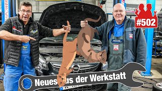 Marder wütet mal wieder im Opel 🦫😡  CorsaTankanzeige defekt  LiveDiagnose [upl. by Phiona]