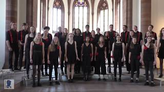 Kammerchor des Gymnasiums Muttenz Jürg Siegrist  quotCrowd Sounds“ Jürg Siegrist EJCF 2018 [upl. by Huntley]