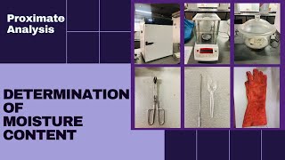 Determination of Moisture Content Proximate Analysis [upl. by Aierdna]