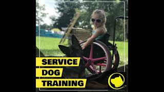 Service Dog Training [upl. by Celtic]