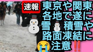 東京や関東各地でついに初雪‼️積雪や路面凍結に注意‼️2024年1月13日‼️ピコ次郎メインチャンネル がライブ配信中‼️ [upl. by Rachel]