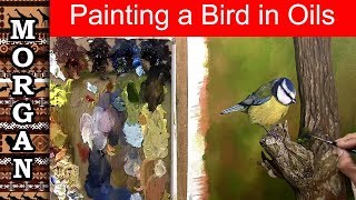 painting a bird in oils  Wildlife Art  Jason Morgan [upl. by Siblee]