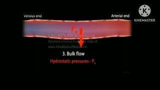 The pulmonary edema causes and basic anatomy [upl. by Okuy723]