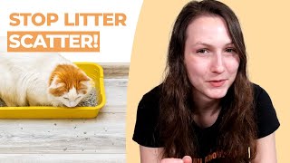 Cat Litter Everywhere How to Stop Litter Tracking amp Scatter [upl. by Moazami108]