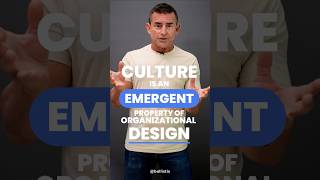 Culture Culture is an emergent property of organizational design [upl. by Legin547]