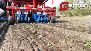 Ferrari Fast Block  Best Square Block Transplanter Ever [upl. by Eurd453]