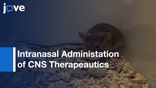 Intranasal adminitration of CNS Therapeautics  Protocol Preview [upl. by Ainod]