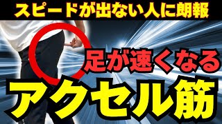 【スピードを上げる】加速力UPの筋肉の使い方、鍛え方を学ぶ [upl. by Eben]