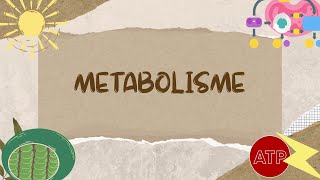 Metabolisme Bagian 1  Materi Biologi Kelas 12 [upl. by Nessej]