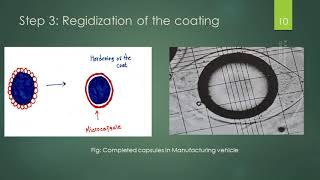 Microencapsulation by Coacervation Phase Separation Surawase Sir [upl. by Notlok]