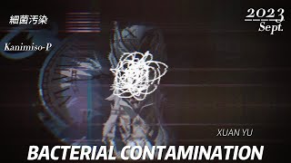 【SynthVカバー】細菌汚染  SAIKIN OSEN  BACTERIAL CONTAMINATION【XUAN YU】 [upl. by Elatan]