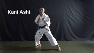 Shorinji Kempo  Ashi Sabaki Basic Techniques 2 [upl. by Ardnas]