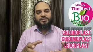 Interesting facts about Chloroplast Chromoplast and Leucoplast simplythebestbio [upl. by Assilla]