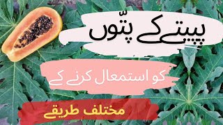 How to use  preserve Papaya leaf for the treatment of Viral fever DrTariqRajputpapayaleaves [upl. by Adoh]