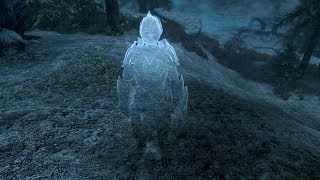 Skyrim Mods Dunmer Ghost Follower PS4XBOX1PC [upl. by Goeger]