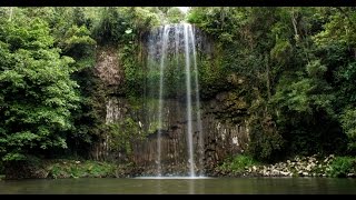 North Queensland Waterfalls Atherton Tablelands [upl. by Kylynn]