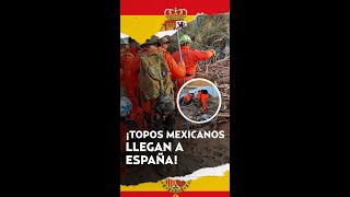 ¡Con palas y determinación Así los Topos Azteca buscan a víctimas de la DANA en España [upl. by Ahseya]