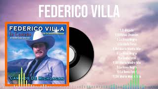 Top Melodies of 2024 by Federico Villa A Playlist You Wont Want to Miss [upl. by Ellahcim841]