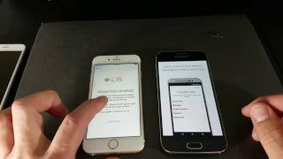 How to Move Content from Android Phone to iPhone with New quotMove to iOS Appquot [upl. by Fast677]