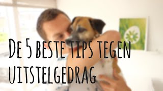 Uitstelgedrag aanpakken  5 tips om uitstelgedrag te verminderen [upl. by Ardnoet796]