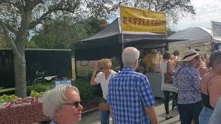 Reggae band at the Hobe Sound Art Festival [upl. by Melamed]