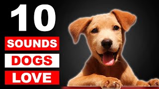 Top 10 Sounds Dogs Love To Hear The Most GUARANTEED [upl. by Allis]