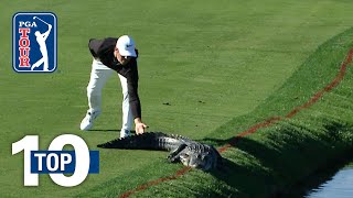 Top 10 Animal Encounters on the PGA TOUR [upl. by Ahtabat]