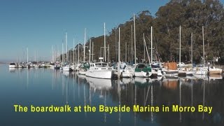 The quotBoardwalk Trailquot at Bayside Marina in Morro Bay CA [upl. by Hildie]