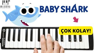 BABY SHARK 🦈 Kolay Melodika Notaları [upl. by Goldenberg]