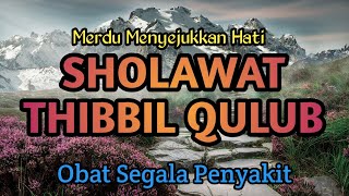 SHOLAWAT TIBBIL QULUB MERDU FULL 1 JAM TANPA MUSIK SHOLAWAT PENYEJUK HATI PENYEMBUH SEGALA PENYAKIT [upl. by Noffihc]