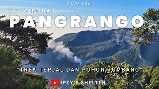 Pendakian Gunung Pangrango via Cibodas  Estimasi Waktu  Semua yang Perlu Anda Ketahui  FULL [upl. by Carlick]