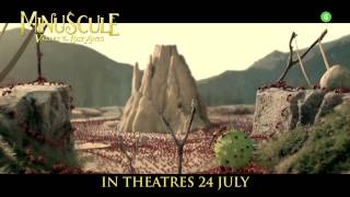 Minuscule Valley of the Lost Ants 30s TV Spot [upl. by Ahseinod]