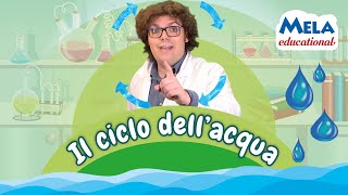 Il ciclo dellacqua  Renato lo scienziato Educational MelaEducational [upl. by Legnaesoj970]