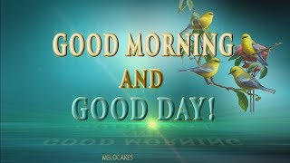 🎶💗 Good Morning and Good Day🎶💗4K Animation Greeting Cards [upl. by Asyal]