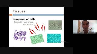 Cell Types and Modifications Gen Bio 1 Week 2 by Leo jr Icutan [upl. by Nylinnej44]