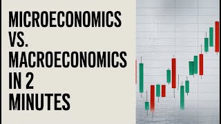 Microeconomics vs Macroeconomics in 2 Minutes [upl. by Eeryn921]