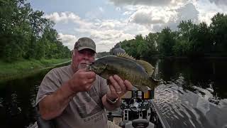 Upper Mississippi River Smallmouth Bass Slugfest August 2024 [upl. by Enahsal536]