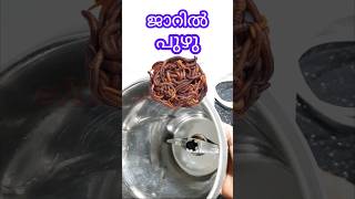 How to clean maxi jar  മിക്സി ജാർ ക്ലീനാക്കുന്നതെങ്ങനെ  Excel Electricals [upl. by Erda228]