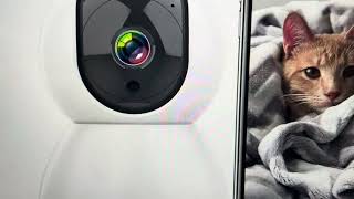 Hard Reset Antela Security Camera [upl. by Ettennaj]