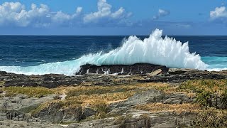 The stunning beauty of Tsitsikamma National Park South Africa [upl. by Sylvie952]