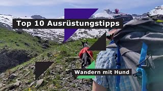 Wandern mit Hund Top 10 Ausrüstungstipps [upl. by Egreog]